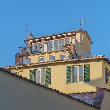 Terrazza Coccode' Spazioso Con Vista Mozzafiato! Lucca Eksteriør billede