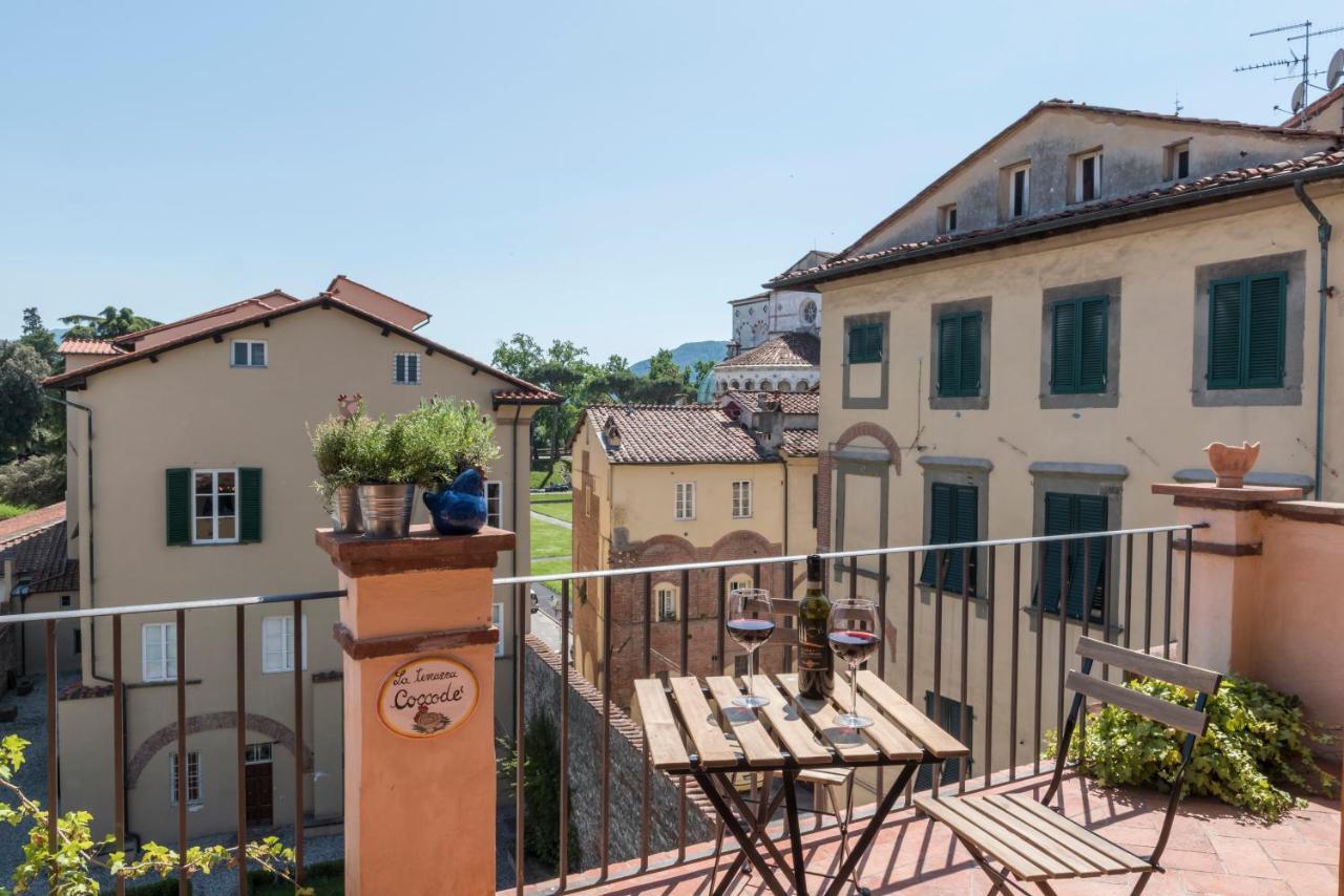 Terrazza Coccode' Spazioso Con Vista Mozzafiato! Lucca Eksteriør billede
