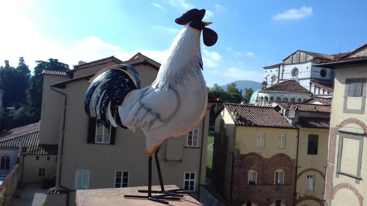 Terrazza Coccode' Spazioso Con Vista Mozzafiato! Lucca Eksteriør billede