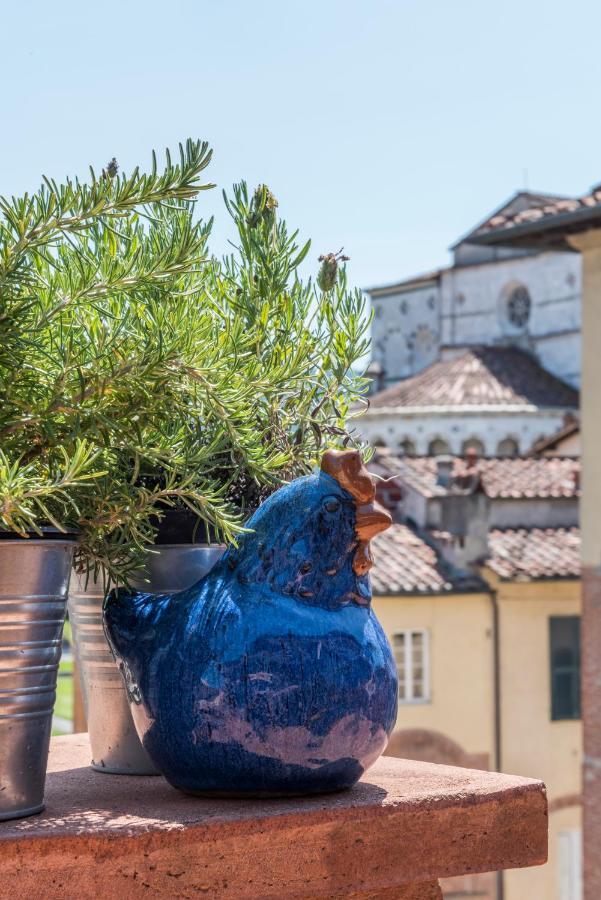 Terrazza Coccode' Spazioso Con Vista Mozzafiato! Lucca Eksteriør billede