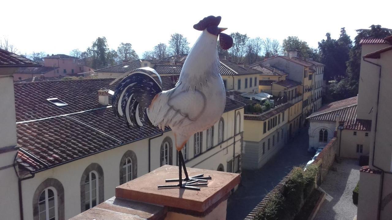 Terrazza Coccode' Spazioso Con Vista Mozzafiato! Lucca Eksteriør billede